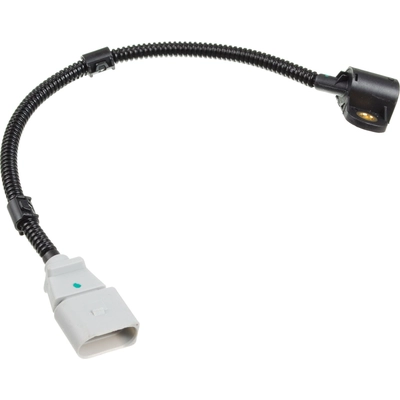 HOLSTEIN - 2CAM0324 - Cam Position Sensor pa2