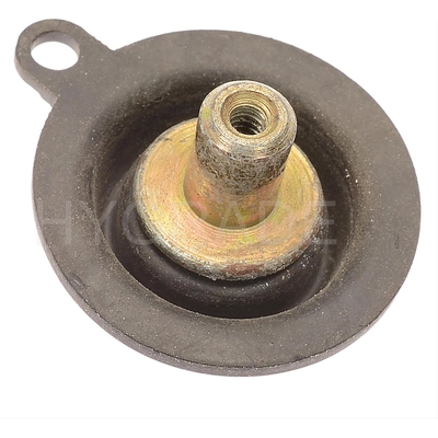 Carburetor Choke Pull-Off by BLUE STREAK (HYGRADE MOTOR) - CPA239 pa1