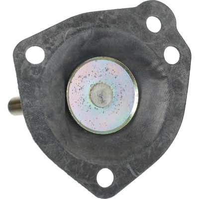 Carburetor Choke Pull-Off by BLUE STREAK (HYGRADE MOTOR) - CPA266 pa6