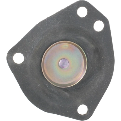 Carburetor Choke Pull-Off by BLUE STREAK (HYGRADE MOTOR) - CPA289 pa6