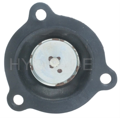 Carburetor Choke Pull-Off by BLUE STREAK (HYGRADE MOTOR) - CPA326 pa2