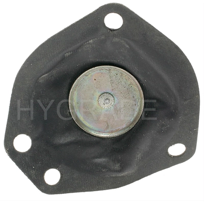 Carburetor Choke Pull-Off by BLUE STREAK (HYGRADE MOTOR) - CPA330 pa1