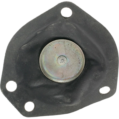 Carburetor Choke Pull-Off by BLUE STREAK (HYGRADE MOTOR) - CPA330 pa4