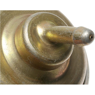 Carburetor Choke Pull-Off by BLUE STREAK (HYGRADE MOTOR) - CPA344 pa6