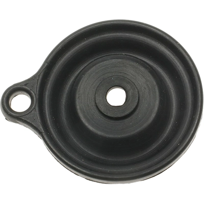 Carburetor Choke Pull-Off by BLUE STREAK (HYGRADE MOTOR) - CPA60 pa4