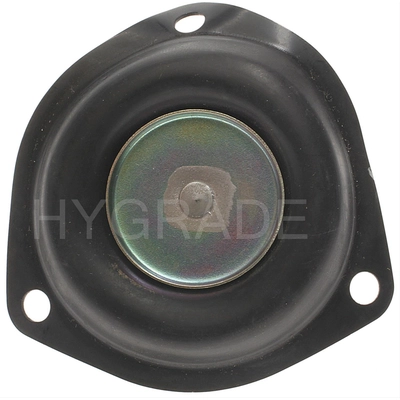 Carburetor Diaphragm by BLUE STREAK (HYGRADE MOTOR) - DT160-127 pa1