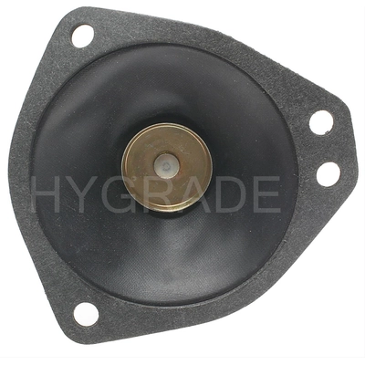 Carburetor Diaphragm by BLUE STREAK (HYGRADE MOTOR) - J160-111 pa1