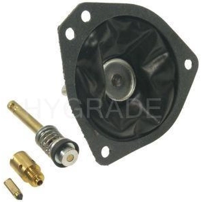 Carburetor Kit by BLUE STREAK (HYGRADE MOTOR) - 1613 pa1