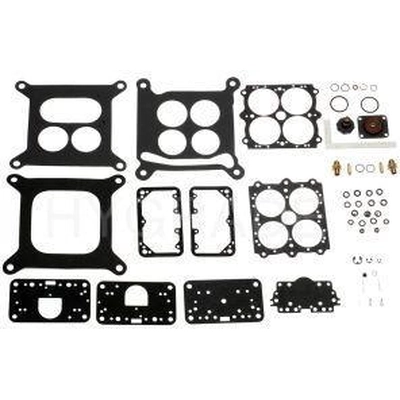 Carburetor Kit by BLUE STREAK (HYGRADE MOTOR) - 489 pa1