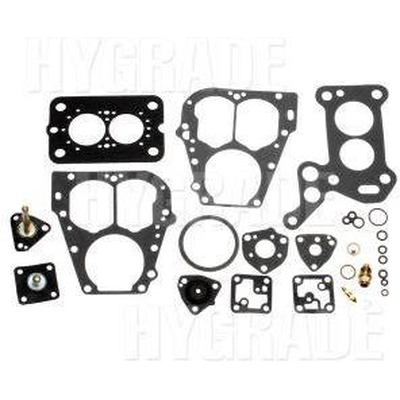 Carburetor Kit by BLUE STREAK (HYGRADE MOTOR) - 713B pa1