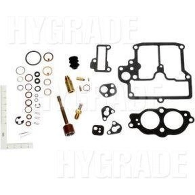 Carburetor Kit by BLUE STREAK (HYGRADE MOTOR) - 798 pa1