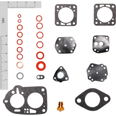 Carburetor Kit by WALKER PRODUCTS - 15245 pa1