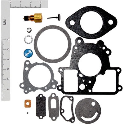 Carburetor Kit by WALKER PRODUCTS - 15673A pa1