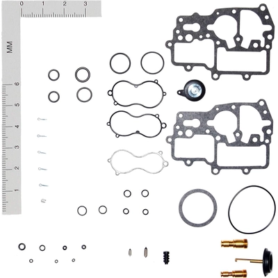 Carburetor Kit by WALKER PRODUCTS - 15744A pa3