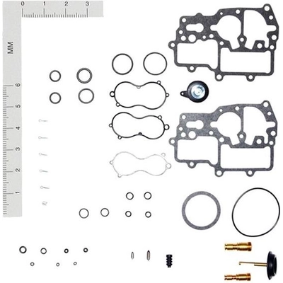 Carburetor Kit by WALKER PRODUCTS - 15744A pa2