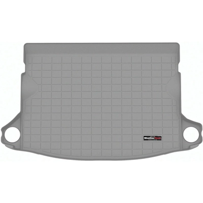 WEATHERTECH - 421706 - Gray Cargo Liner pa1