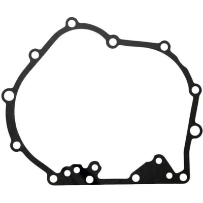 Case Side Cover Gasket by PIONEER - 749125 pa1