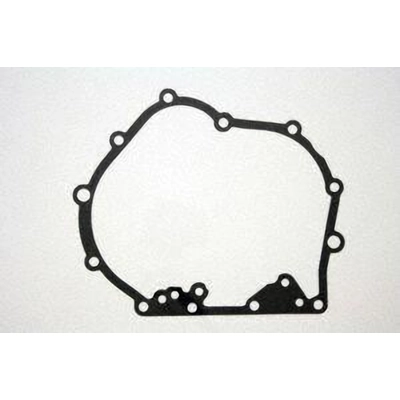 Case Side Cover Gasket by PIONEER - 749125 pa2