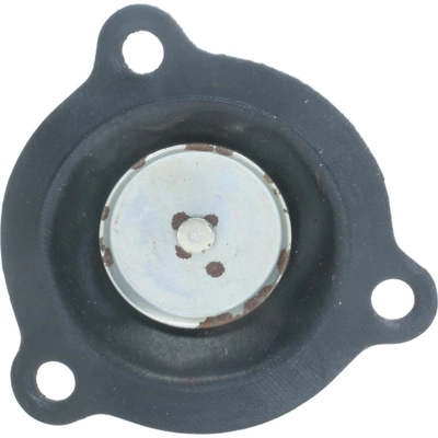 Choke Pull Off (Carbureted) by BLUE STREAK (HYGRADE MOTOR) - CPA326 pa11