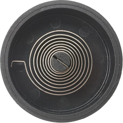 Choke Thermostat (Carbureted) by BLUE STREAK (HYGRADE MOTOR) - CV102 pa17