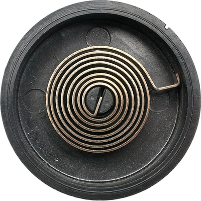 Choke Thermostat (Carbureted) by BLUE STREAK (HYGRADE MOTOR) - CV181 pa4