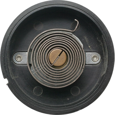 BLUE STREAK (HYGRADE MOTOR) - CV196 - Choke Thermostat (Carbureted) pa5