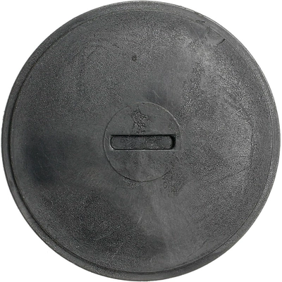 Choke Thermostat (Carbureted) by BLUE STREAK (HYGRADE MOTOR) - CV206 pa12