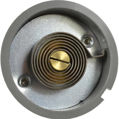 Choke Thermostat (Carbureted) by BLUE STREAK (HYGRADE MOTOR) - CV228 pa6