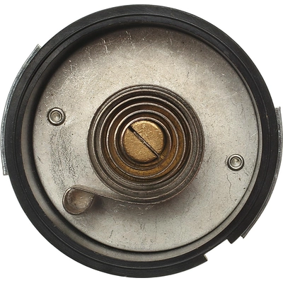 Choke Thermostat (Carbureted) by BLUE STREAK (HYGRADE MOTOR) - CV249 pa5