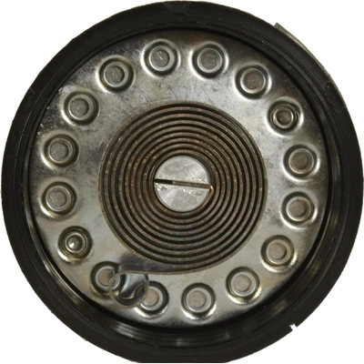 Choke Thermostat (Carbureted) by BLUE STREAK (HYGRADE MOTOR) - CV255 pa8