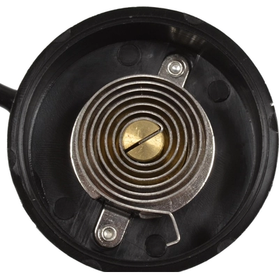 Choke Thermostat (Carbureted) by BLUE STREAK (HYGRADE MOTOR) - CV272 pa5