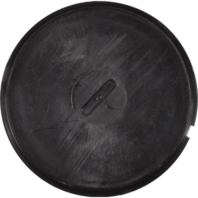 Choke Thermostat (Carbureted) by BLUE STREAK (HYGRADE MOTOR) - CV350 pa11