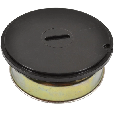 BLUE STREAK (HYGRADE MOTOR) - CV351 - Choke Thermostat pa2