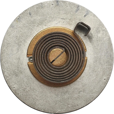 Choke Thermostat (Carbureted) by BLUE STREAK (HYGRADE MOTOR) - CV383 pa8