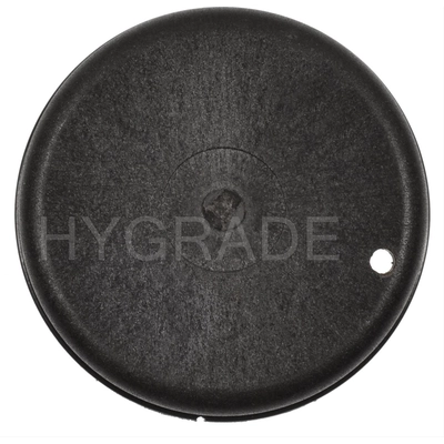Thermostat volet de départ (carburété) par BLUE STREAK (HYGRADE MOTOR) - CV94 pa1