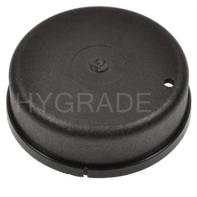 Thermostat volet de départ (carburété) par BLUE STREAK (HYGRADE MOTOR) - CV94 pa2