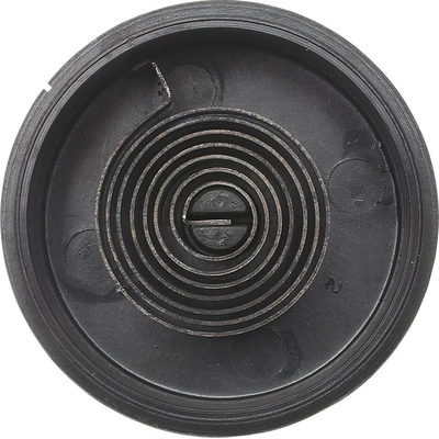 Choke Thermostat (Carbureted) by BLUE STREAK (HYGRADE MOTOR) - CV99 pa6