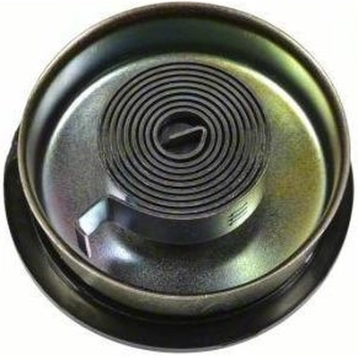 Choke Thermostat (Carbureted) by BLUE STREAK (HYGRADE MOTOR) - CV208 pa14
