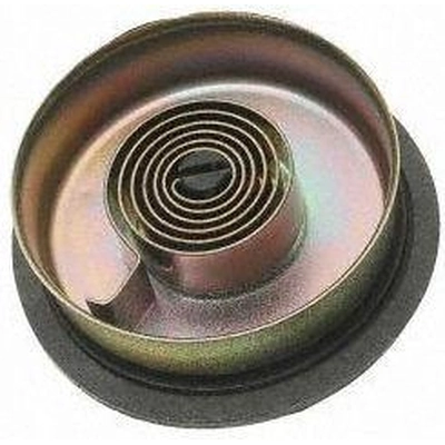 Choke Thermostat (Carbureted) by BLUE STREAK (HYGRADE MOTOR) - CV212 pa3