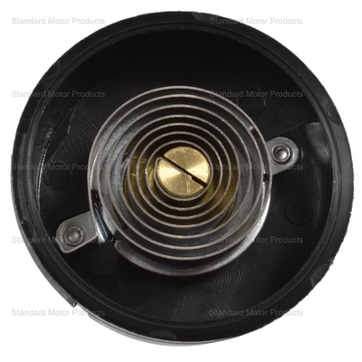 Thermostat volet de départ (carburété) par BLUE STREAK (HYGRADE MOTOR) - CV237 pa2