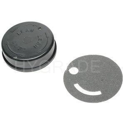 Choke Thermostat (Carbureted) by BLUE STREAK (HYGRADE MOTOR) - CV384 pa3