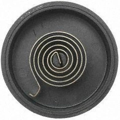 Choke Thermostat (Carbureted) by BLUE STREAK (HYGRADE MOTOR) - CV77 pa4