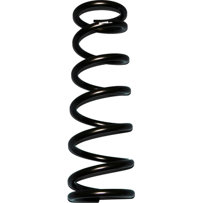 Coil Spring by SKYJACKER - D45 pa6
