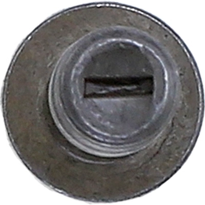 Connecting Rod Bolt by ELRING - DAS ORIGINAL - 690.290 pa2