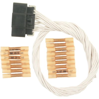 Connector by BLUE STREAK (HYGRADE MOTOR) - S1359 pa1