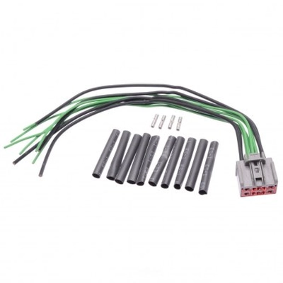 BLUE STREAK (HYGRADE MOTOR) - S1781 - Liftgate Release Actuator Connector pa2