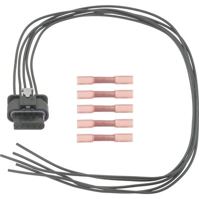 Connector by BLUE STREAK (HYGRADE MOTOR) - S2900 pa1