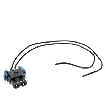BLUE STREAK (HYGRADE MOTOR) - S523 - Headlight Connector pa4