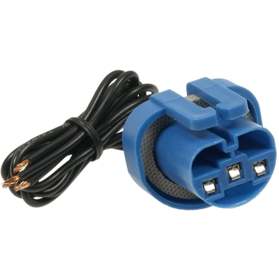BLUE STREAK (HYGRADE MOTOR) - S525 - Headlight Connector pa1