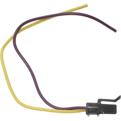 BLUE STREAK (HYGRADE MOTOR) - S667 - Side Marker Lamp Connector pa4